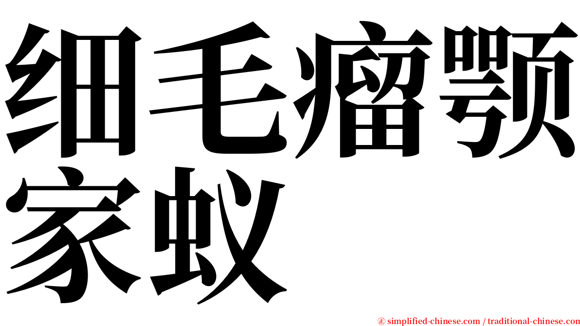 细毛瘤颚家蚁 serif font