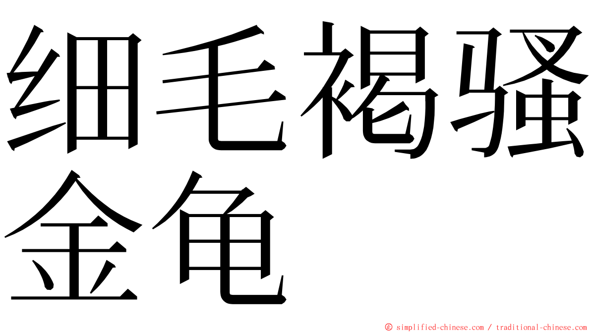 细毛褐骚金龟 ming font