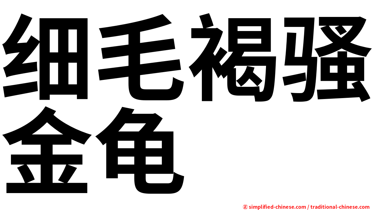 细毛褐骚金龟
