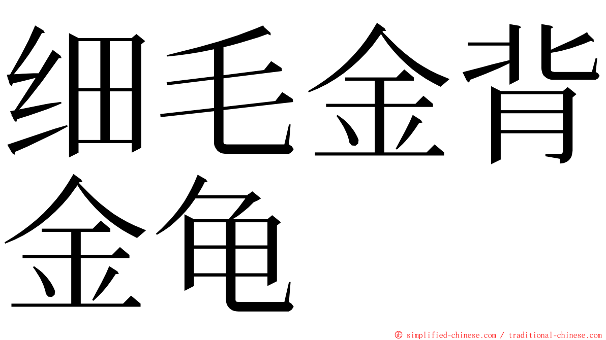 细毛金背金龟 ming font