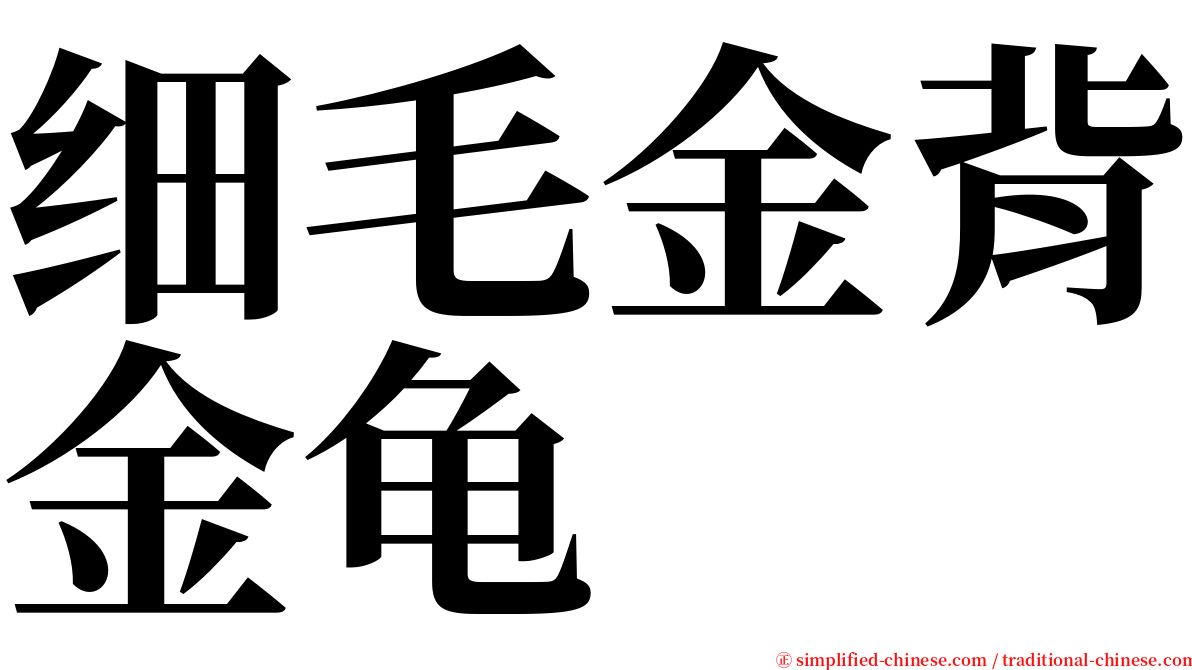 细毛金背金龟 serif font