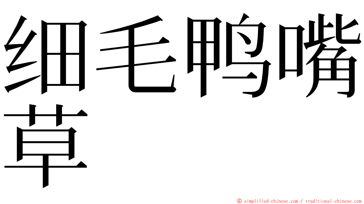 细毛鸭嘴草 ming font
