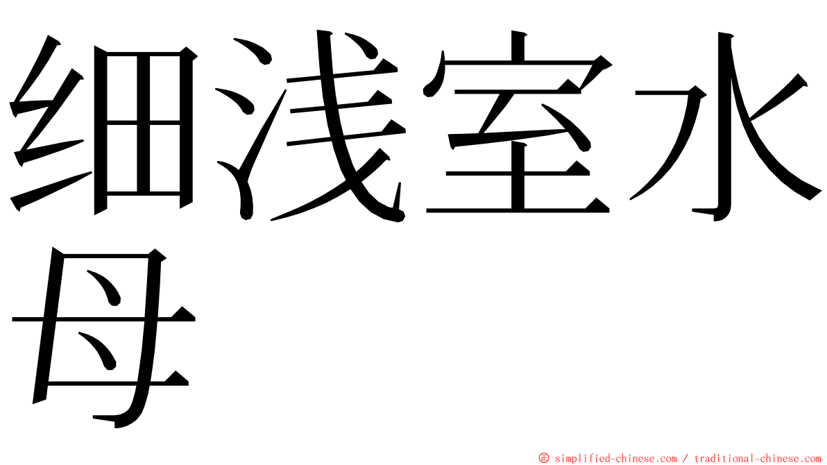 细浅室水母 ming font