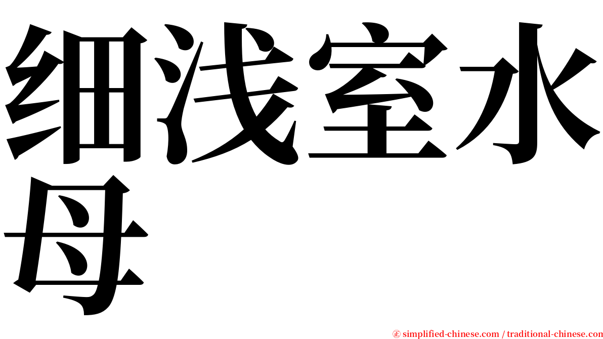 细浅室水母 serif font