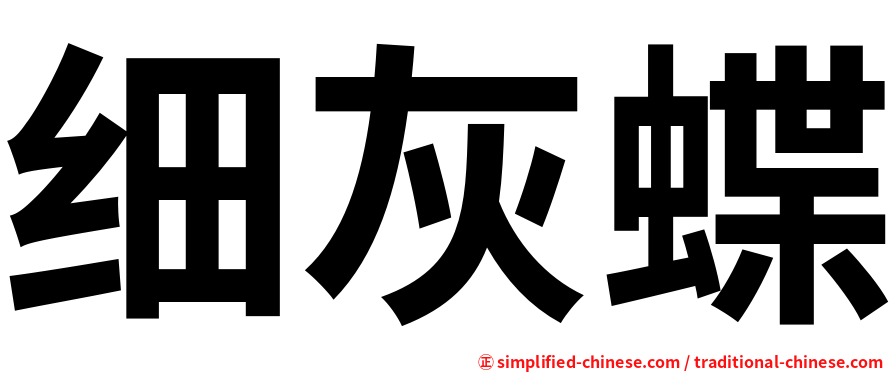 细灰蝶