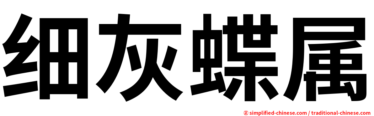 细灰蝶属