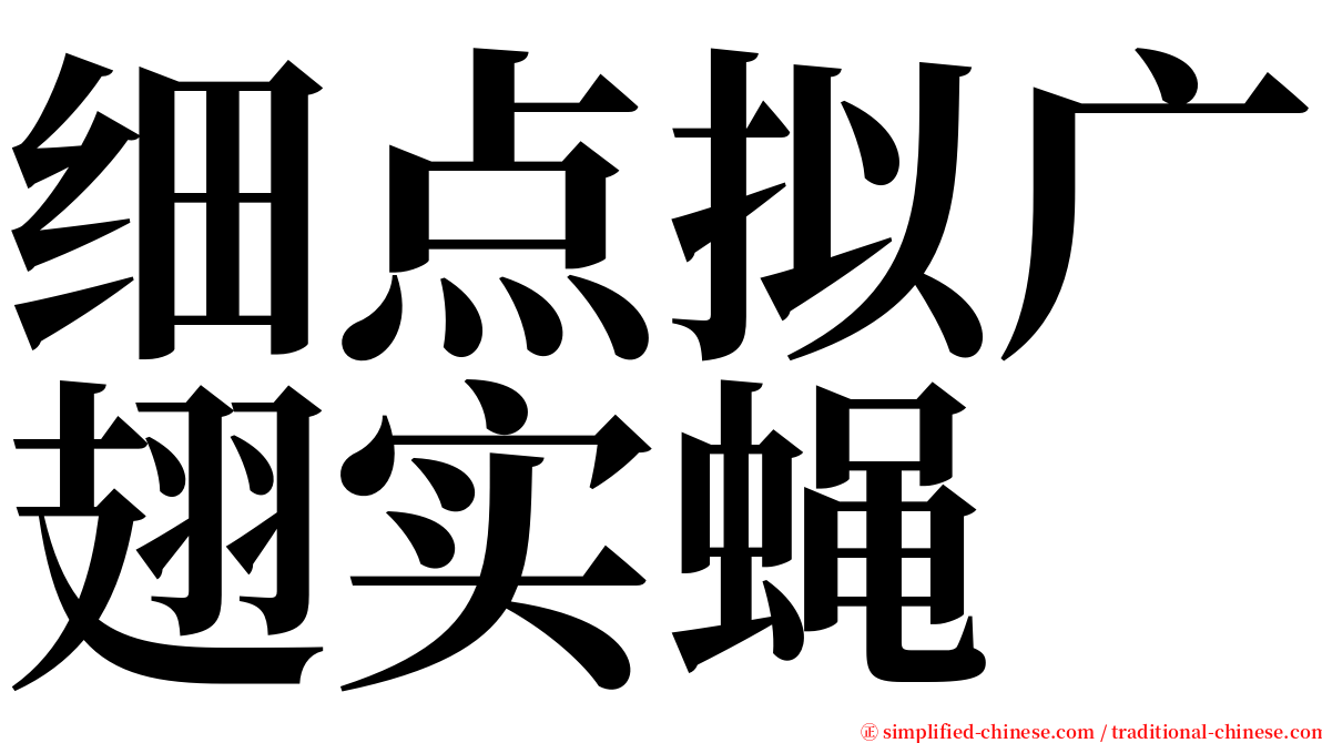 细点拟广翅实蝇 serif font