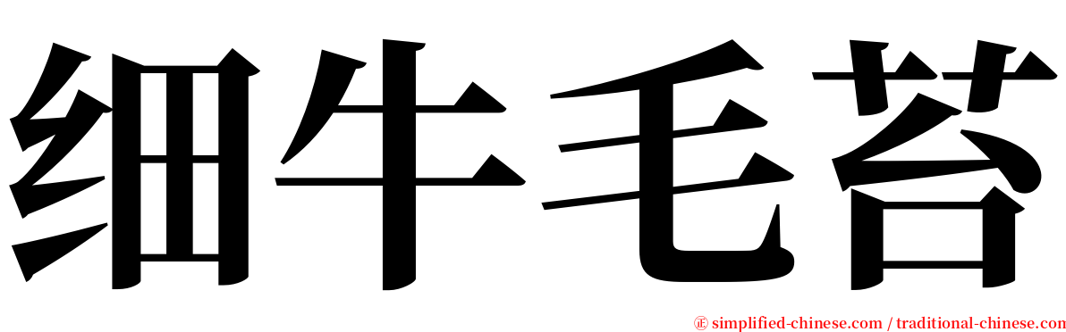 细牛毛苔 serif font