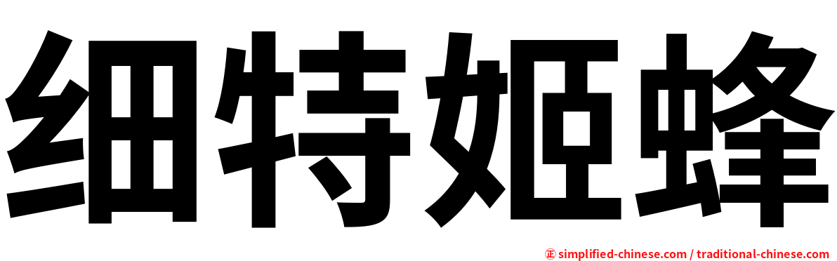 细特姬蜂