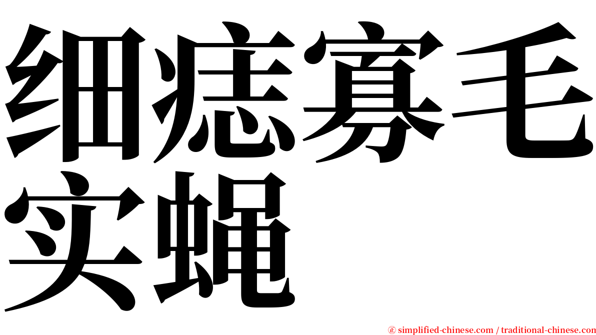 细痣寡毛实蝇 serif font