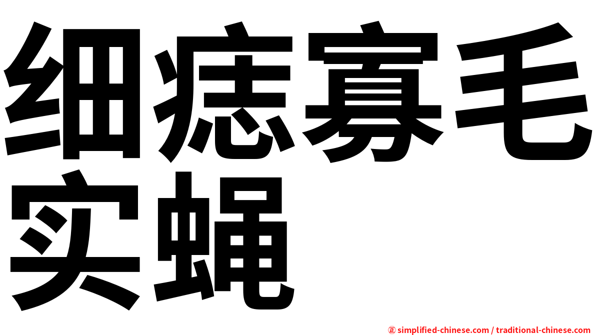 细痣寡毛实蝇