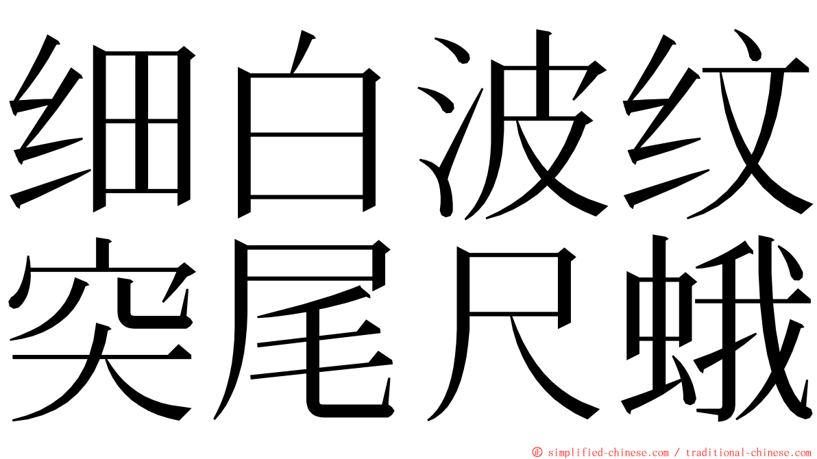 细白波纹突尾尺蛾 ming font