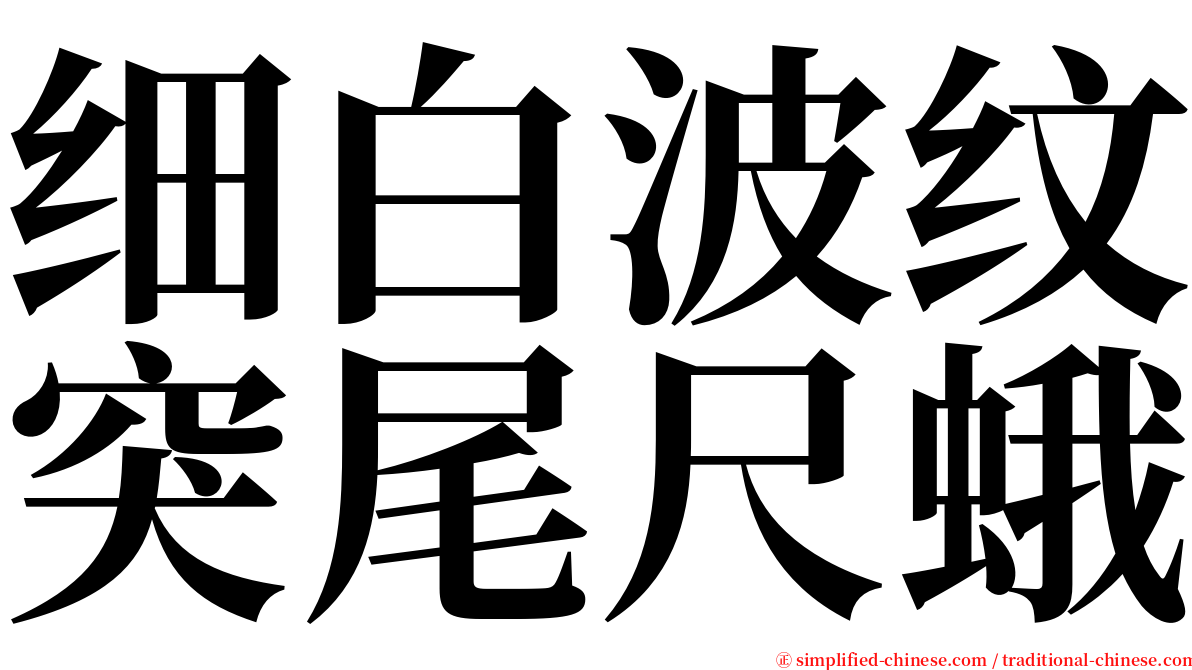 细白波纹突尾尺蛾 serif font