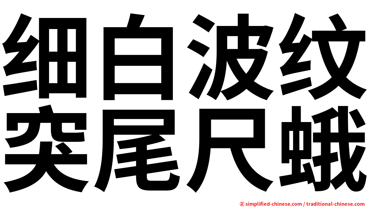 细白波纹突尾尺蛾