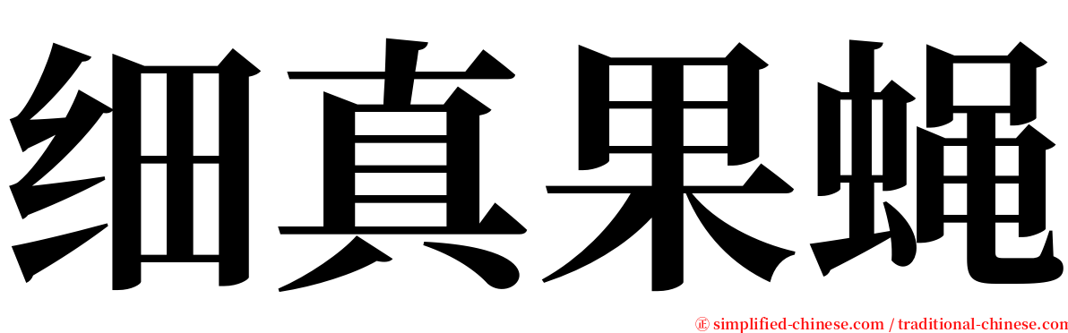 细真果蝇 serif font