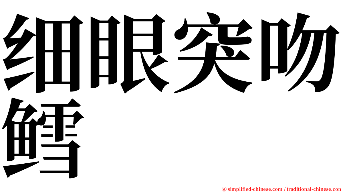 细眼突吻鳕 serif font