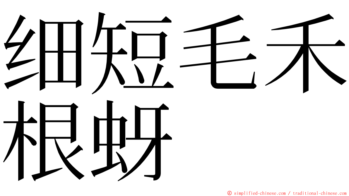 细短毛禾根蚜 ming font