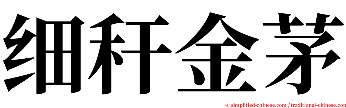 细秆金茅 serif font