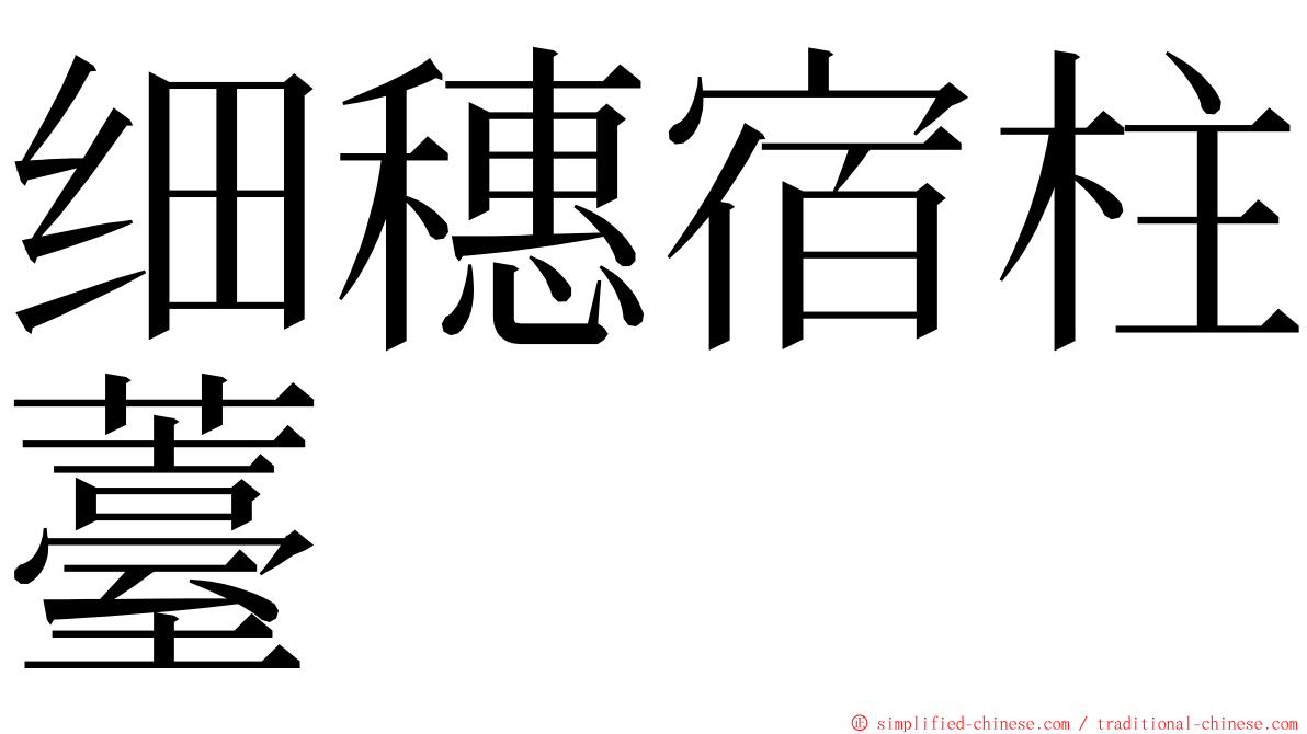 细穗宿柱薹 ming font