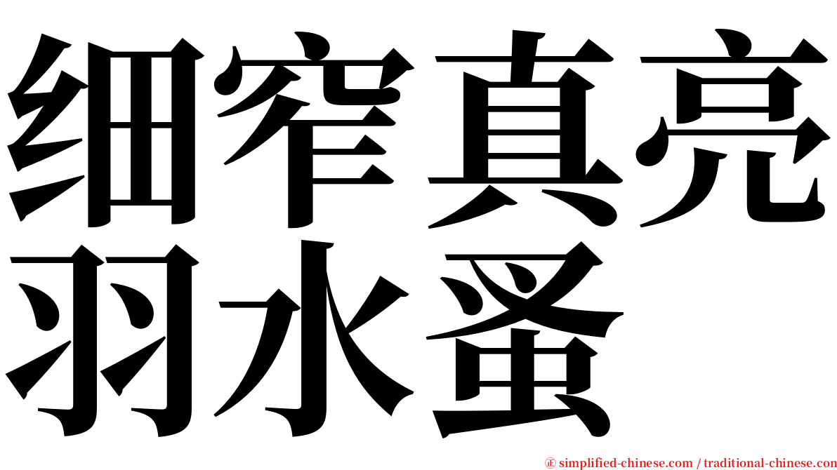 细窄真亮羽水蚤 serif font