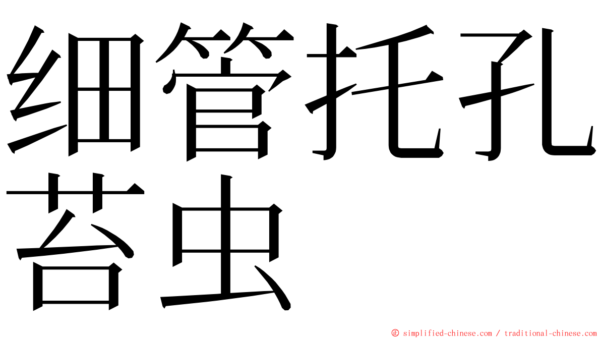 细管托孔苔虫 ming font