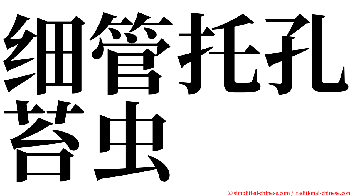 细管托孔苔虫 serif font