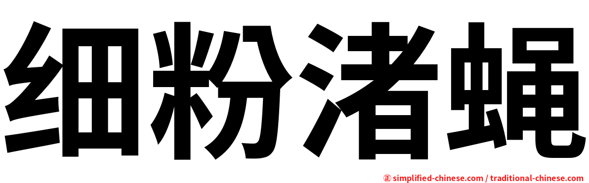 细粉渚蝇