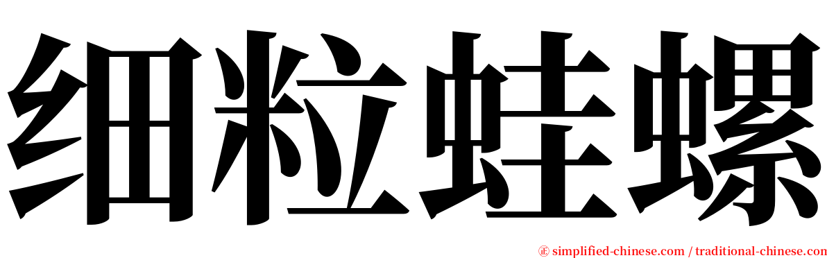 细粒蛙螺 serif font
