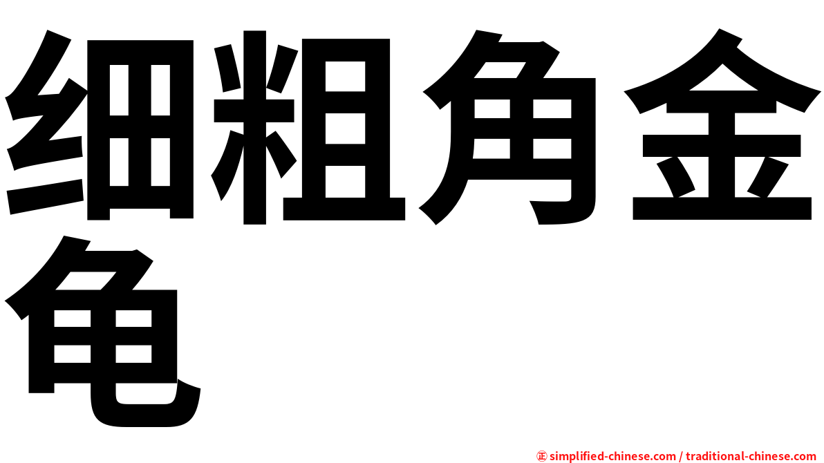 细粗角金龟
