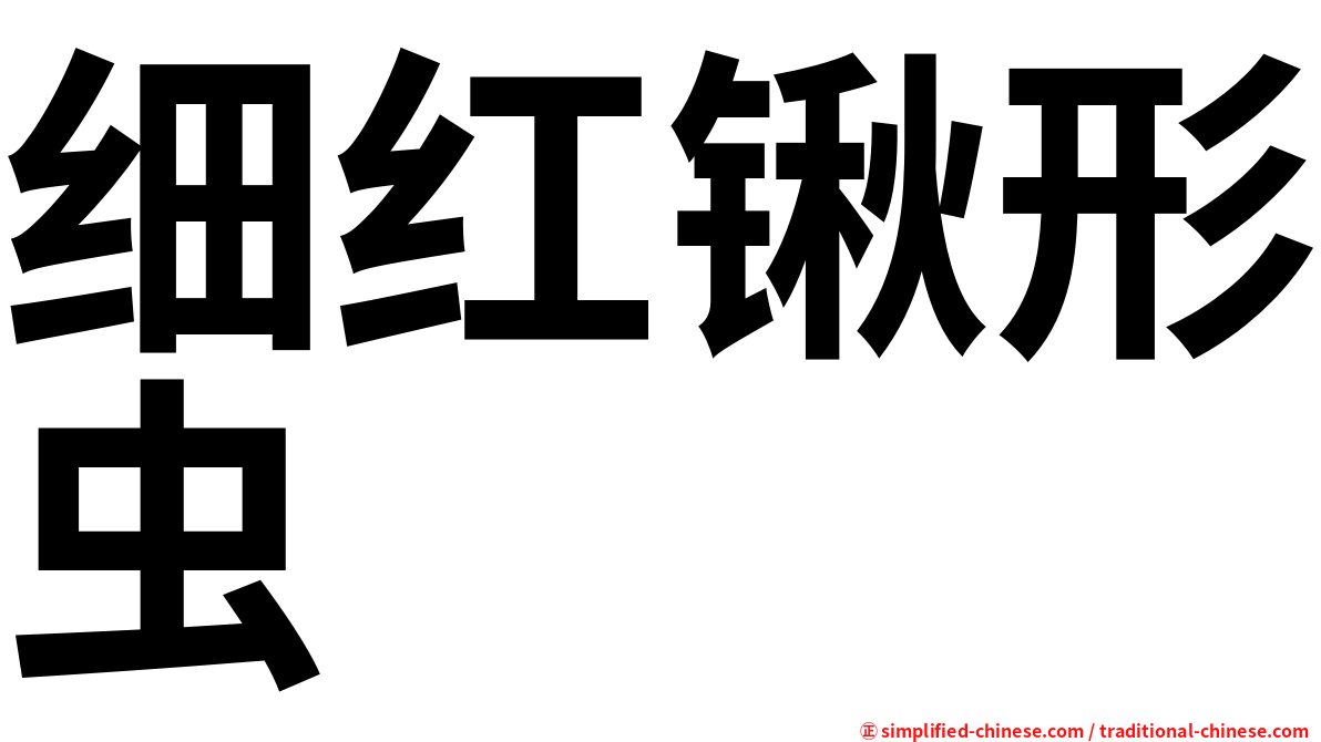 细红锹形虫