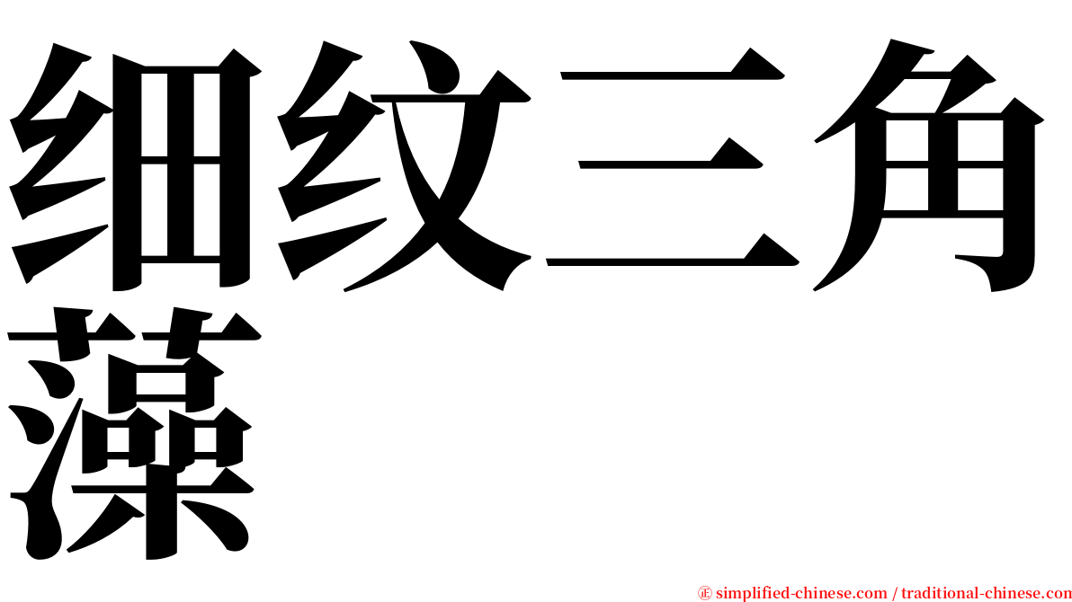 细纹三角藻 serif font