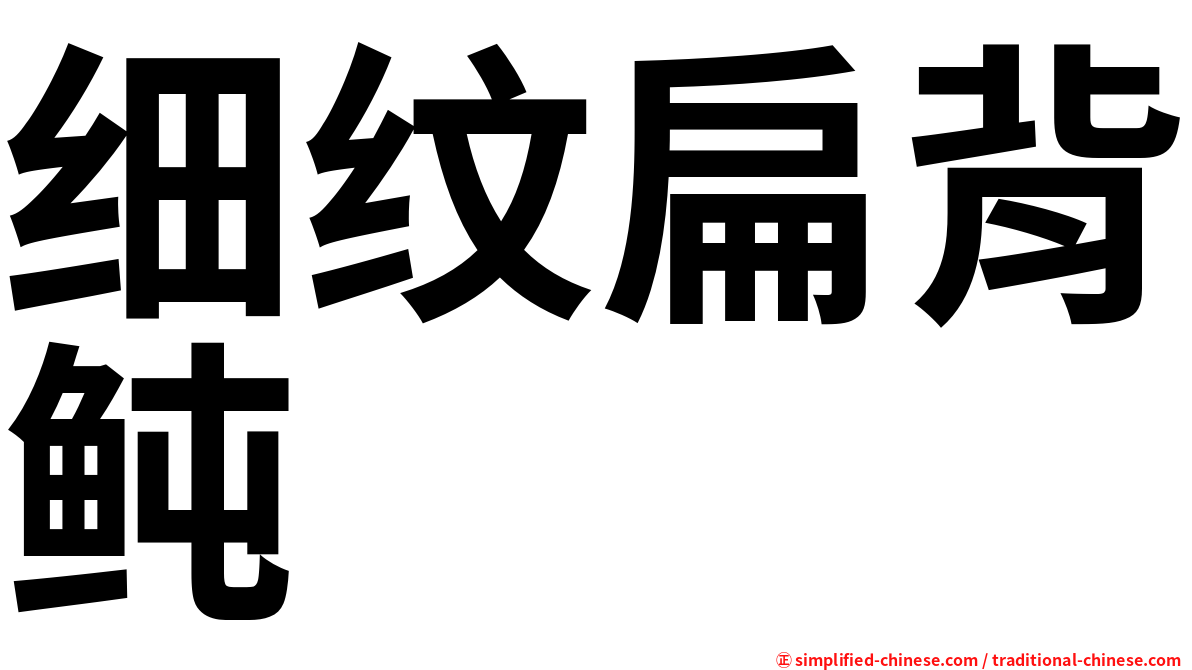 细纹扁背鲀