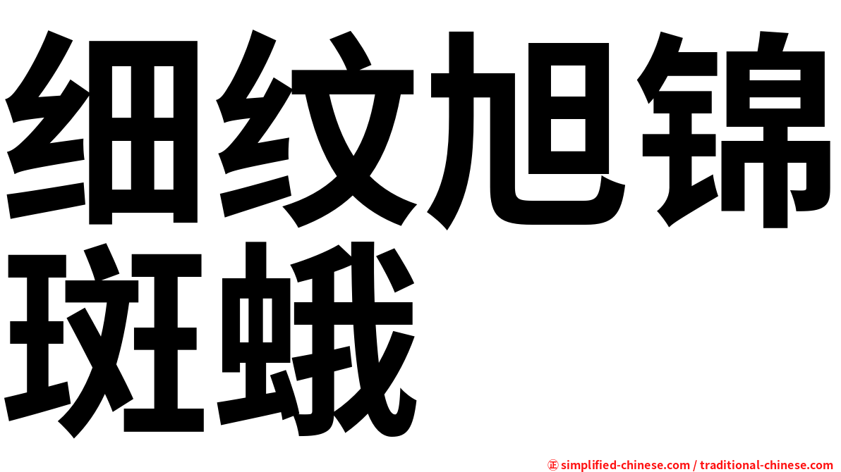 细纹旭锦斑蛾