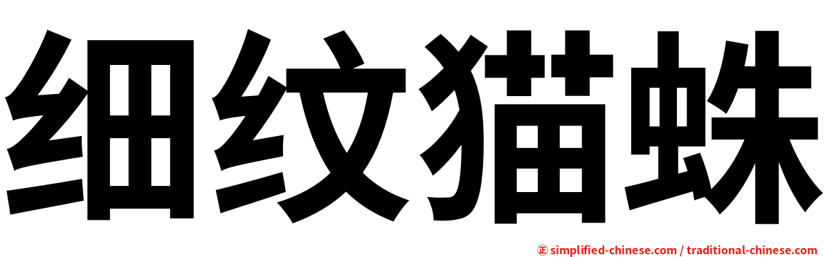 细纹猫蛛