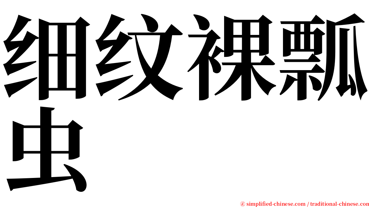 细纹裸瓢虫 serif font
