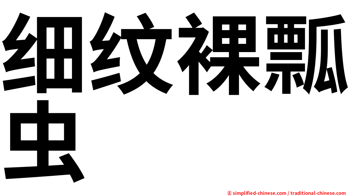 细纹裸瓢虫