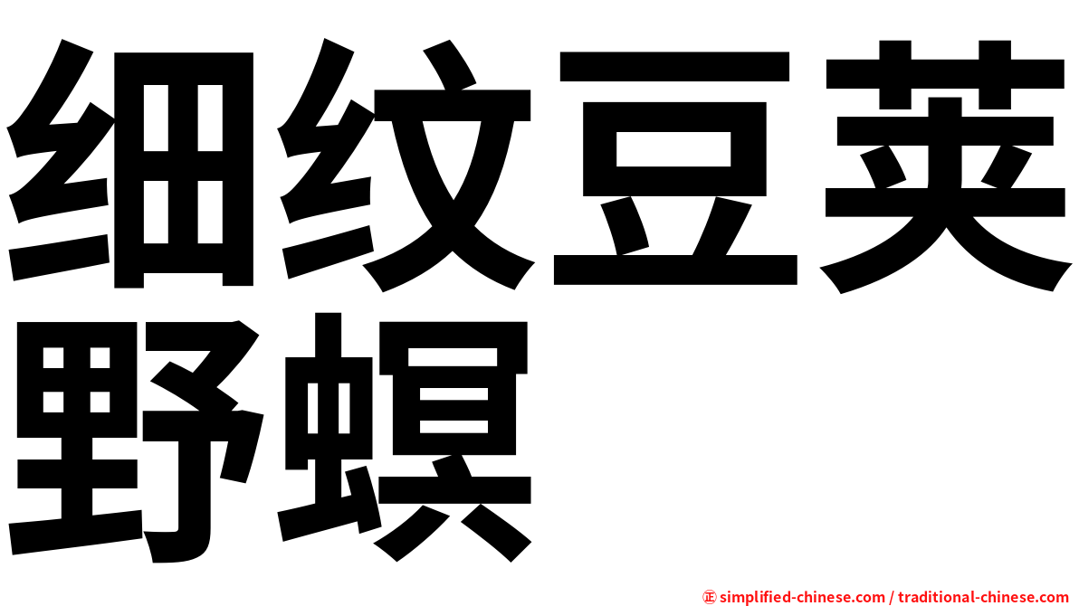 细纹豆荚野螟