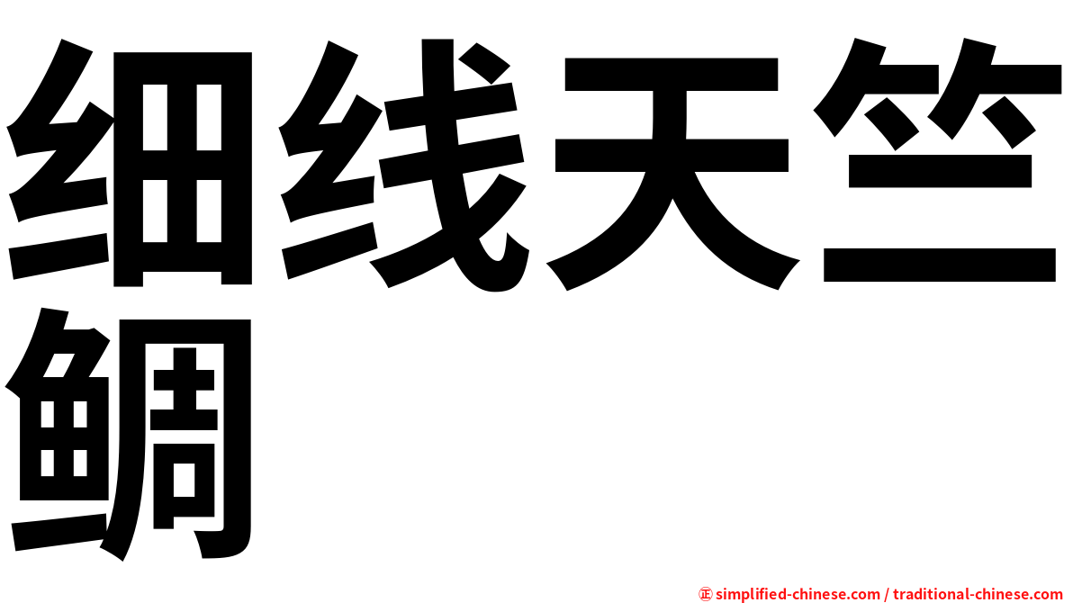 细线天竺鲷