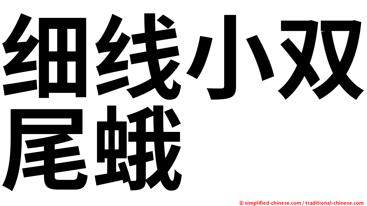 细线小双尾蛾