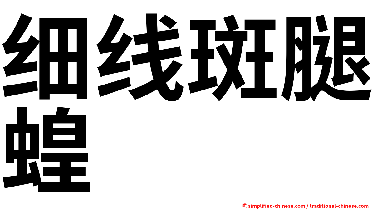 细线斑腿蝗