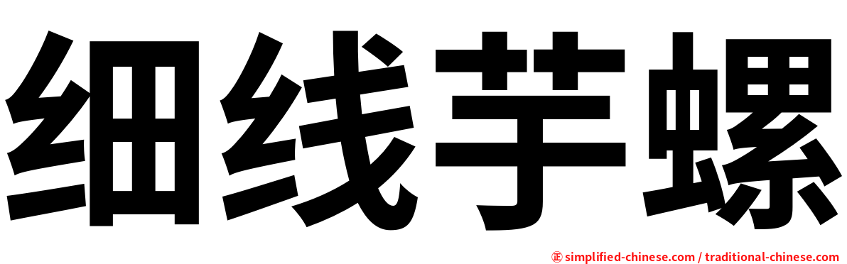 细线芋螺