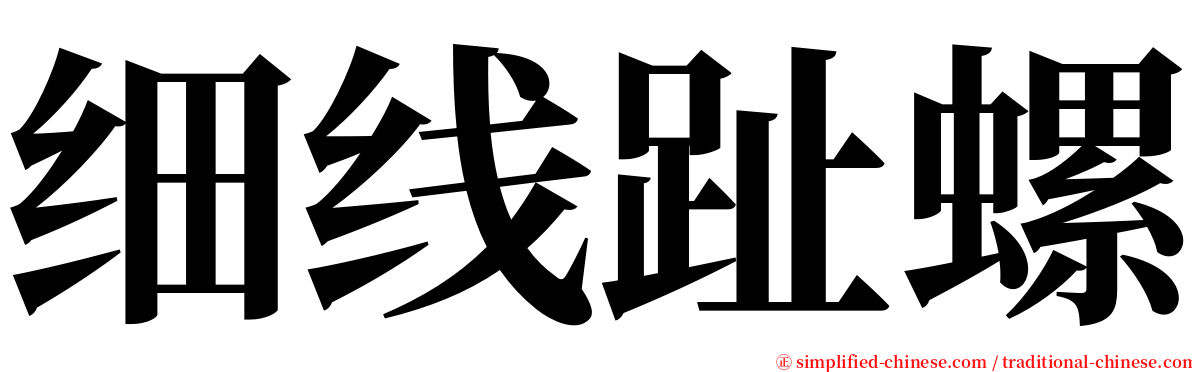 细线趾螺 serif font