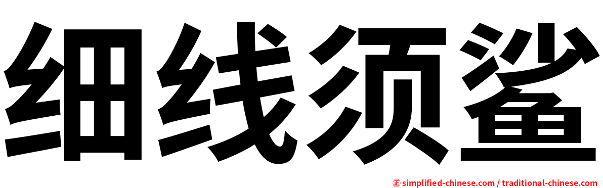 细线须鲨