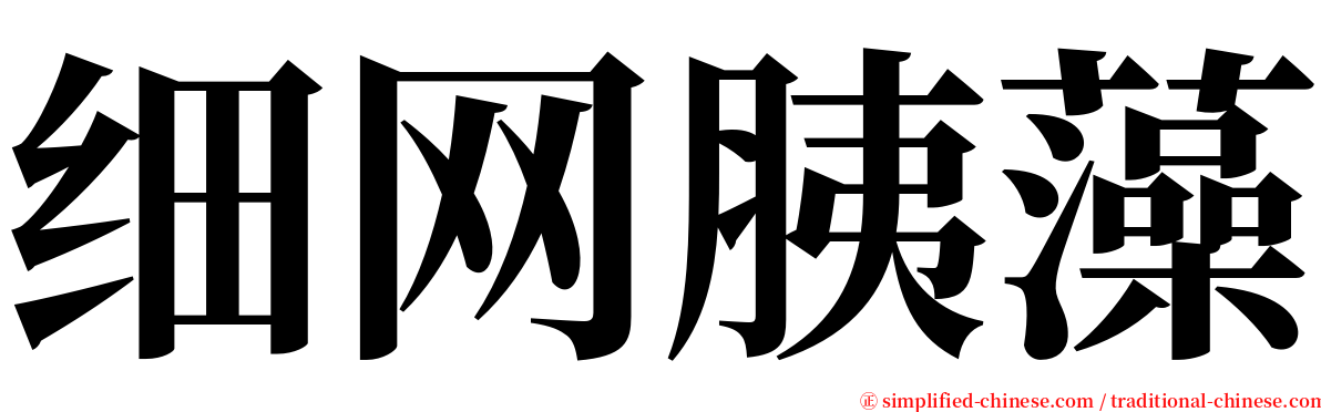细网胰藻 serif font