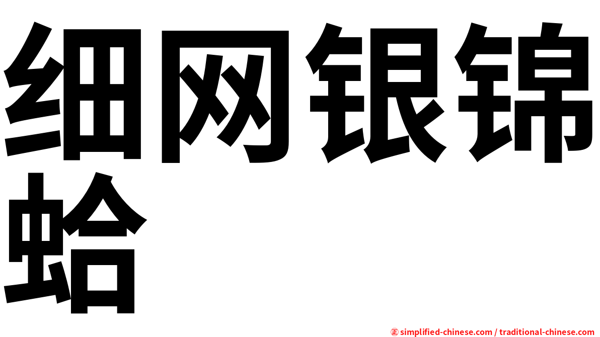 细网银锦蛤