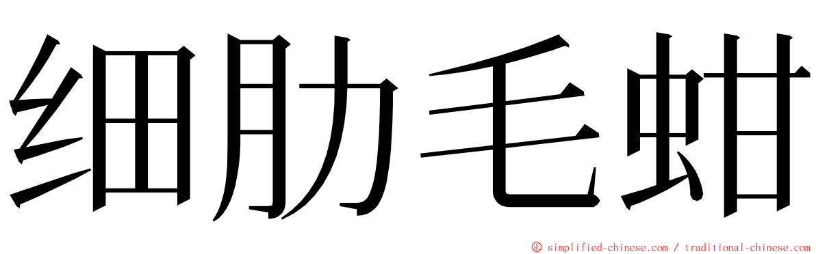 细肋毛蚶 ming font