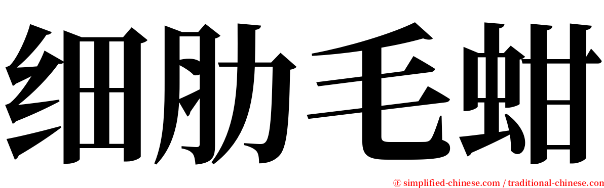 细肋毛蚶 serif font