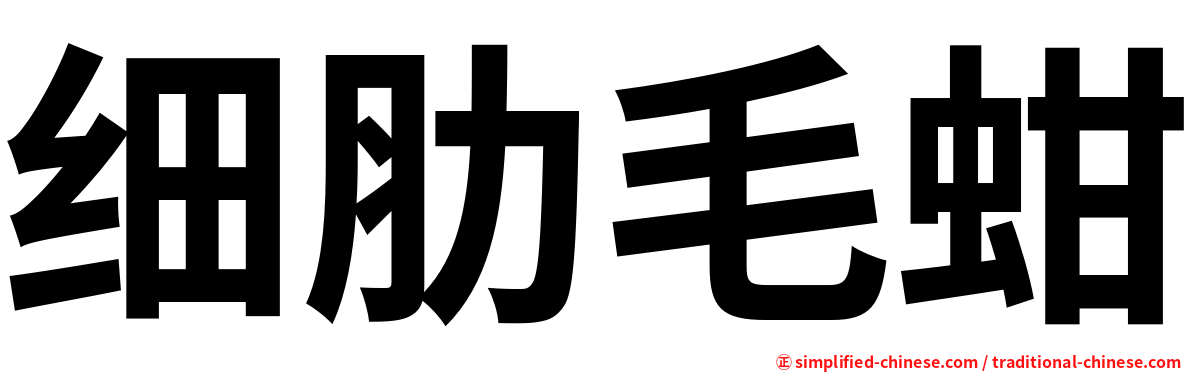 细肋毛蚶