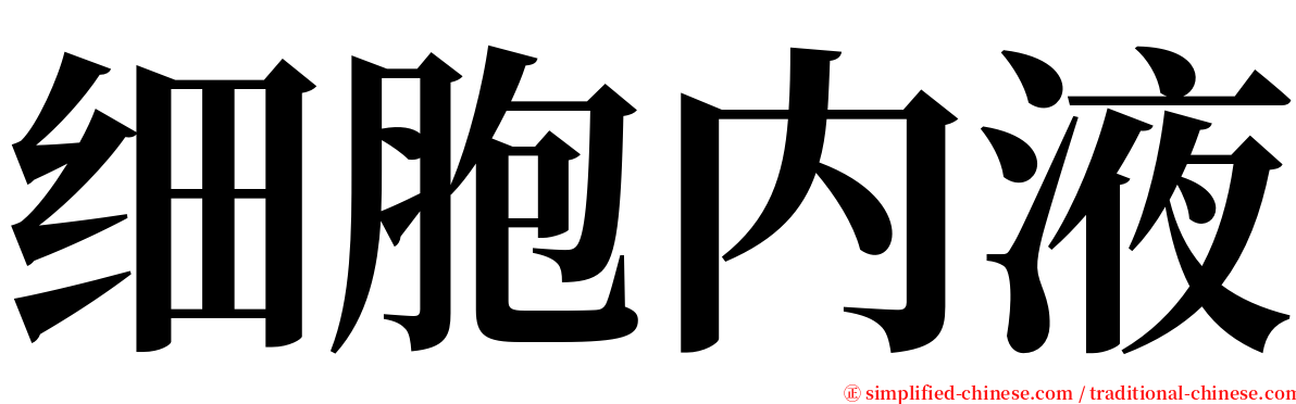 细胞内液 serif font