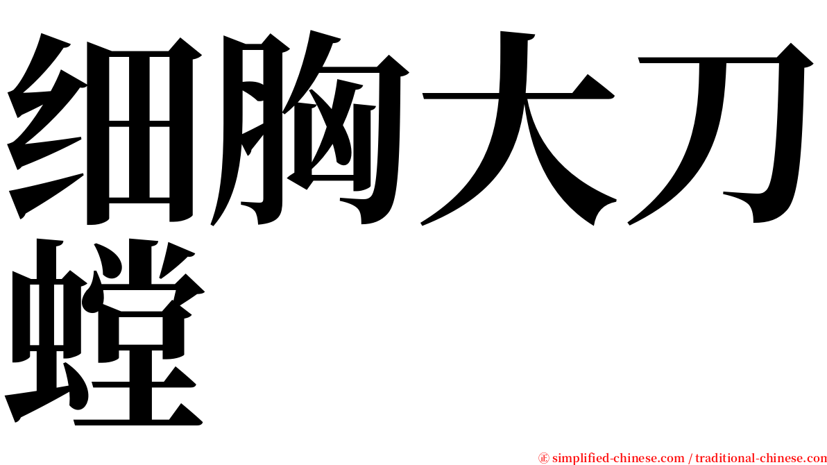 细胸大刀螳 serif font